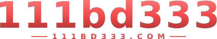 111bd333 logo